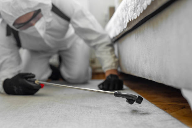 Professional Bed Bug Control technician working in Ocean Pines, MD